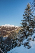 Alba e cavalcata Valdimagnina-20